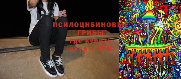 PSILOCYBIN Баксан