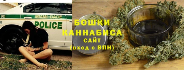 ПСИЛОЦИБИНОВЫЕ ГРИБЫ Балабаново