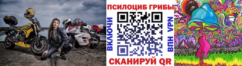 MEGA зеркало  Белореченск  Галлюциногенные грибы Magic Shrooms 