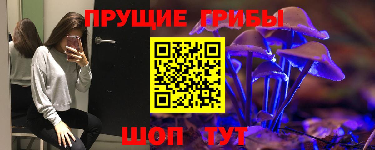 купить закладку  Вход с VPN  Белореченск  Псилоцибиновые грибы ЛСД 